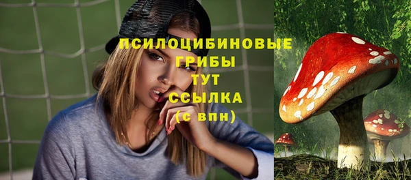 прущая мука Алексин