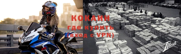 сатива Зерноград