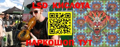 индика Чебоксары