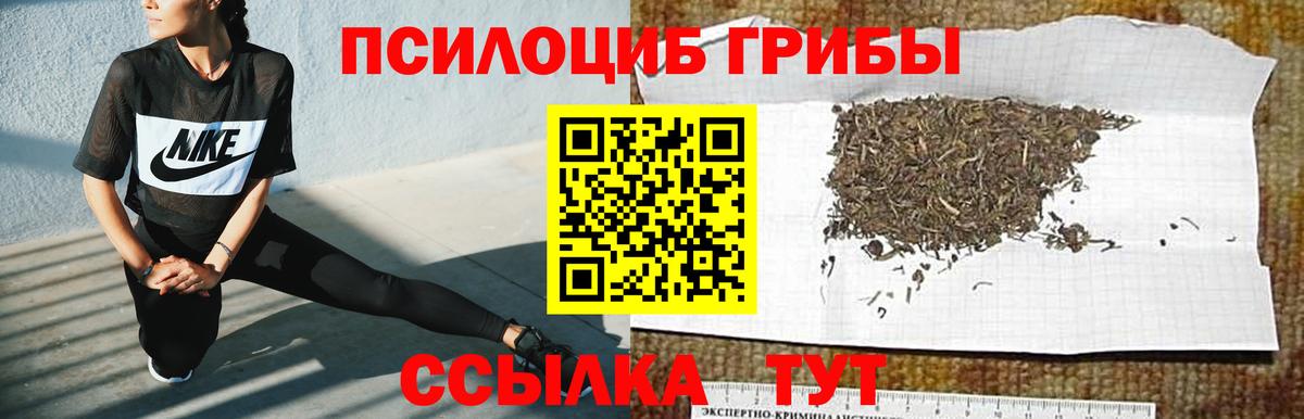 где купить наркоту  Псилоцибиновые грибы прущие грибы  Вход с VPN  Тейково 